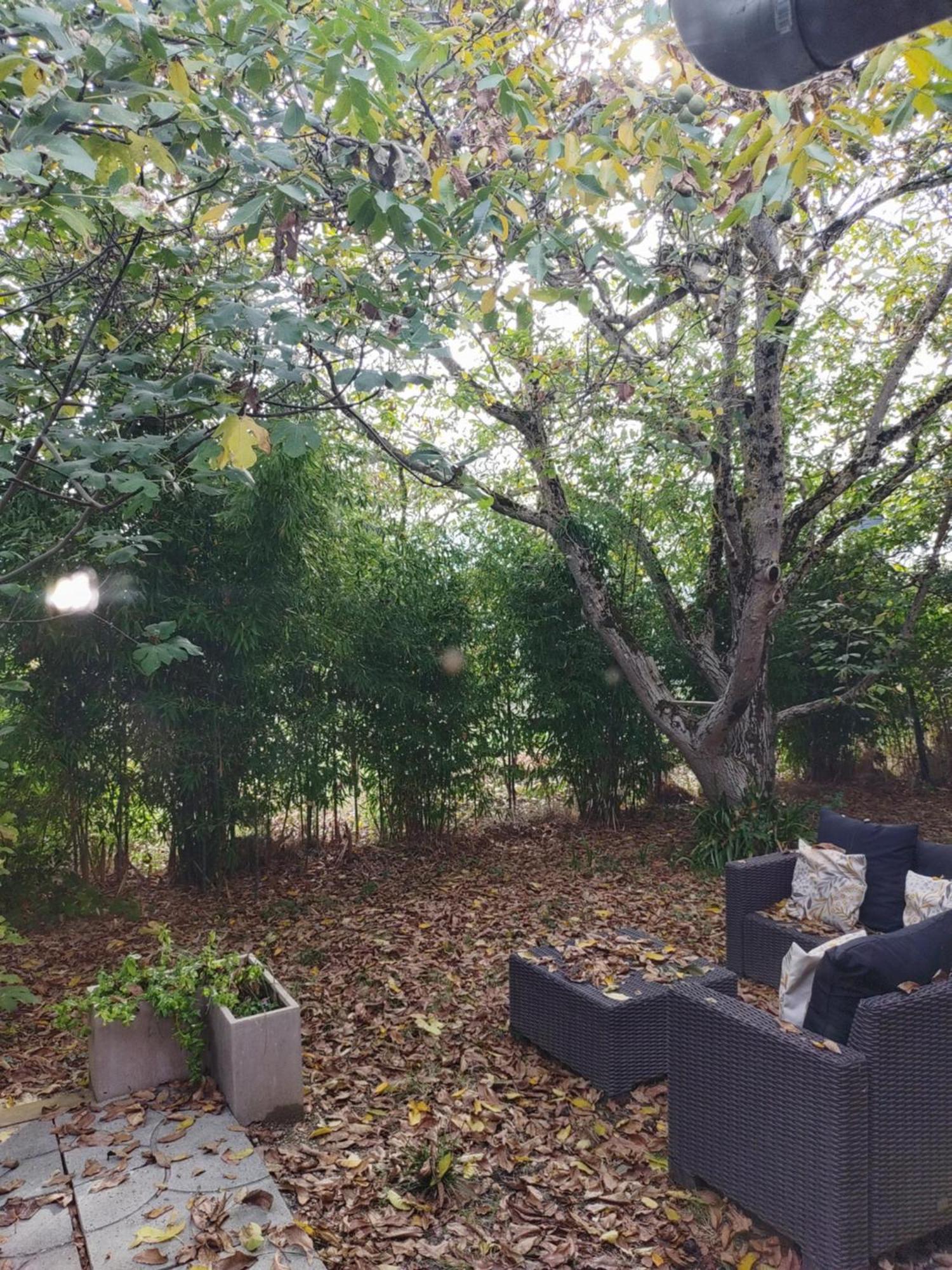 Dependance A La Campagne Cosy Et Calme Villa Teulat Dış mekan fotoğraf
